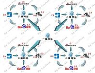 ���ƾ���ô����Ƶ�����ξֳ�ί:��������ʽ���巴����ʽ����...